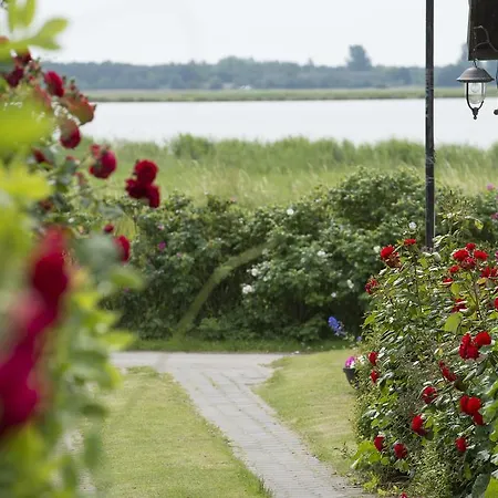 Gasthof Deichgraf Middelhagen