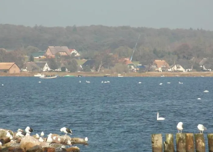 게스트하우스 Deichgraf 미델하겐