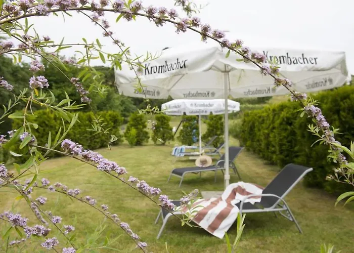 Deichgraf 게스트하우스 미델하겐